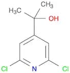 2-(2,6-dichloropyridin-4-yl)propan-2-ol