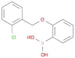 (2-((2-Chlorobenzyl)oxy)phenyl)boronic acid