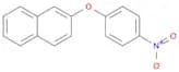 2-(4-Nitrophenoxy)naphthalene