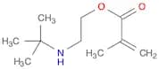2-(tert-Butylamino)ethyl Methacrylate