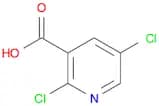 2,5-Dichloronicotinic acid