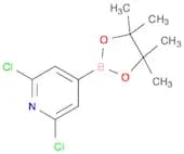 2,6-dichloro-4-(4,4,5,5-tetramethyl-1,3,2-dioxaborolan-2-yl)pyridine