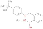 2-[(4'-tert-Butyl-2'-methylphenoxy)methyl]phenylboronic acid