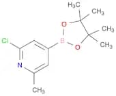 2-Chloro-6-methylpyridine-4-boronic acid, pinacol ester