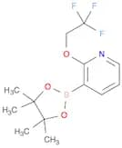 2-(2,2,2-TRIFLUOROETHOXY)PYRIDINE-3-BORONIC ACID PINACOL ESTER