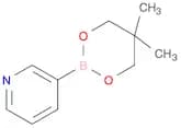 Pyridine-3-boronic acid, neopentyl glycol ester