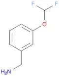 Benzenemethanamine, 3-(difluoromethoxy)- (9CI)