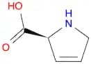 3,4-Dehydro-L-proline