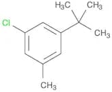 3-t-Butyl-5-chlorotoluene