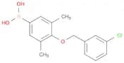 (4-((3-Chlorobenzyl)oxy)-3,5-dimethylphenyl)boronic acid