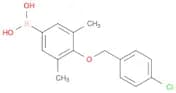 (4-((4-Chlorobenzyl)oxy)-3,5-dimethylphenyl)boronic acid