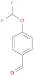 4-(Difluoromethoxy)benzaldehyde