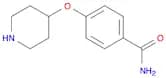 4-(PIPERIDIN-4-YLOXY)BENZAMIDE