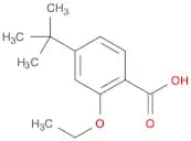 4-(t-Butyl)-2-Ethoxy Benzoic Acid