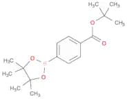tert-Butyl 4-(4,4,5,5-tetramethyl-1,3,2-dioxaborolan-2-yl)benzoate