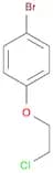 4-Bromophenyl 2-chloroethyl ether