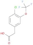 4-Chloro-3-(Trifluoromethoxy)Phenylacetic Acid