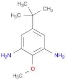 4-tert-Butyl-2,6-diaminoanisole