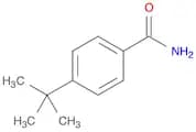 4-(tert-Butyl)benzamide