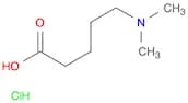 5-(Dimethylamino)-pentanoic acid HCl