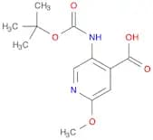 5-(TERT-BUTOXYCARBONYLAMINO)-2-METHOXYPYRIDINE-4-CARBOXYLIC ACID