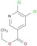 5,6-Dichloronicotinic acid ethyl ester