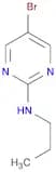 5-Bromo-2-propylaminopyrimidine