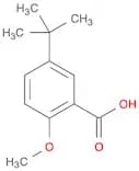 5-(tert-Butyl)-2-methoxybenzoic acid