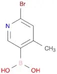 6-Bromo-4-Methylpyridin-3-Ylboronic Acid