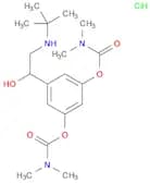 3-[2-(tert-butylamino)-1-hydroxyethyl]-5-[(dimethylcarbamoyl)oxy]phenyl N,N-dimethylcarbamate hydr…