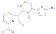 Ceftizoxime