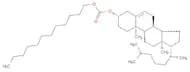 (1R,3aS,3bS,7S,9aR,9bS,11aR)-9a,11a-dimethyl-1-[(2R)-6-methylheptan-2-yl]-1H,2H,3H,3aH,3bH,4H,6H,7…
