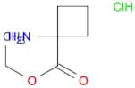 1-Amino-cyclobutane-carboxylic acid ethyl ester, HCl