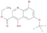Ethyl 8-bromo-4-hydroxy-6-(trifluoromethoxy)quinoline-3-carboxylate