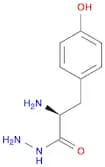 (S)-2-Amino-3-(4-hydroxyphenyl)propanehydrazide