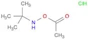 O-Acetyl-n-tert-butylhydroxylamine HCl