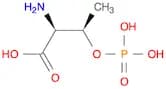 O-Phospho-DL-threonine