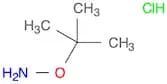 O-tert-butylhydroxylamine hydrochloride