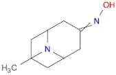 N-{9-methyl-9-azabicyclo[3.3.1]nonan-3-ylidene}hydroxylamine