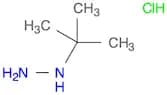 tert-Butylhydrazine HCl