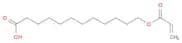 Dodecanoic acid, 12-[(1-oxo-2-propenyl)oxy]-