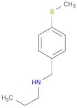 {[4-(methylsulfanyl)phenyl]methyl}(propyl)amine