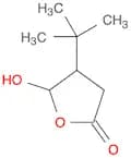 2(3H)-Furanone, 4-(1,1-dimethylethyl)dihydro-5-hydroxy-