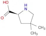 (S)-4,4-Dimethylpyrrolidine-2-carboxylic acid
