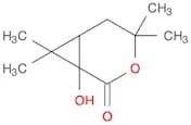 3-Oxabicyclo[4.1.0]heptan-2-one, 1-hydroxy-4,4,7,7-tetramethyl-