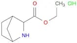 ethyl 2-azabicyclo[2.2.1]heptane-3-carboxylate hydrochloride