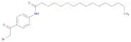 Hexadecanamide, N-[4-(bromoacetyl)phenyl]-