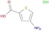 4-Aminothiophene-2-carboxylic acid hydrochloride