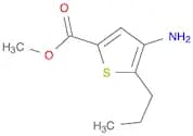 2-Thiophenecarboxylic acid, 4-amino-5-propyl-, methyl ester