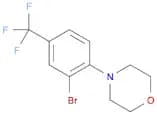 4-(2-bromo-4-(trifluoromethyl)phenyl)morpholine